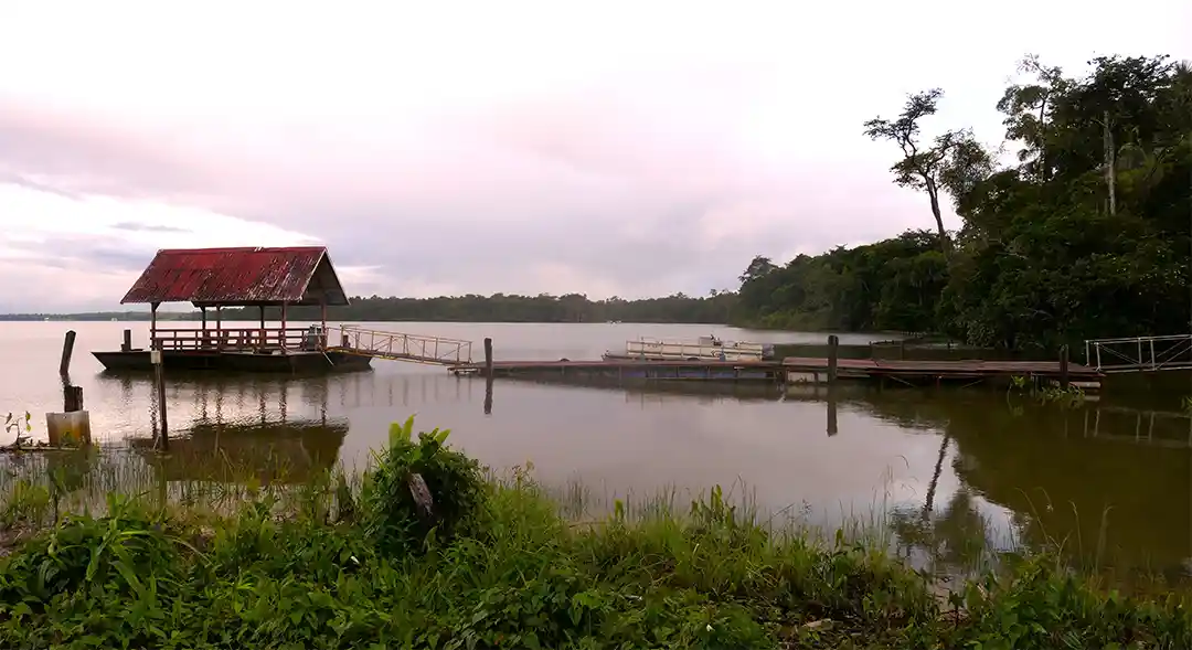 Wan Oso Suriname stijger aan de rivier