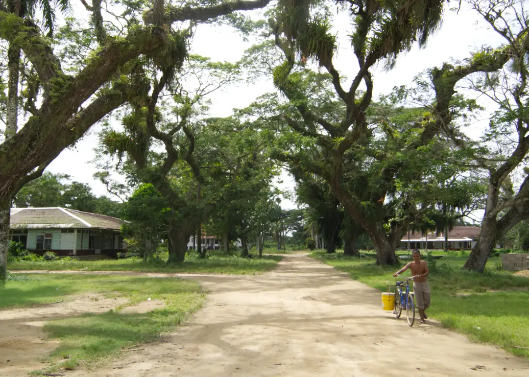 Wan oso bijeenkomst suriname